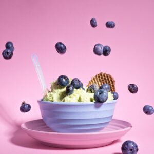 Gateau Glace Fruits des Bois